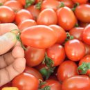 박영신농장 이미지