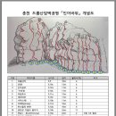 인어루트 이미지