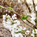 섬말공원 이미지