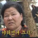 우야우야