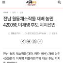 전남 월동채소작물 재배 농민 4200명, 이재명 후보 지지선언 이미지