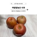 아달달농산 | 사과 맛집, 아달달농산에서 재배한 산지직송 사과 추천
