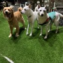 불리빌로우코리아센터 이미지