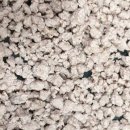 쪼꼬미앙 이미지