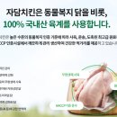 자담치킨원종점