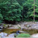 계곡의 아침 이미지