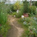 도곡농장 이미지