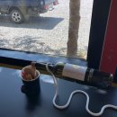 강운봉농장 | (남원/근교여행•가볼만한곳) 안내소 앞 카페 제비 후기 및 자연 속 힐링, 가볍게 걷기 좋은 지리산...