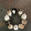블로그119