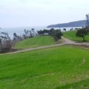 금갑해변 이미지