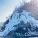고령성주축산업협동조합 한우프라자 | 대구 가볼만한 곳 군위 추천, 감성 사진 찍고 힐링하기 좋음!