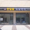 한걸음 동물병원 이미지