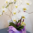 새서울DMC약국 이미지