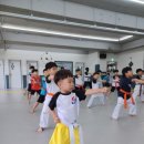 미래백호태권도장 이미지