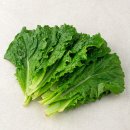 🥗 한끼 로메인 80g 후기｜혼밥·다이어트용 샐러드 채소 추천