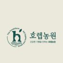 마량5일시장 이미지