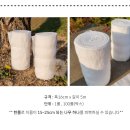 트리케어 이미지