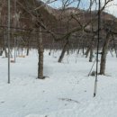 서문경농협 가은지점 이미지