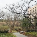 세븐일레븐 롯데호텔점 이미지