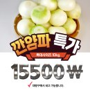 헤이파머스