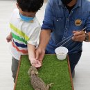 금광초병설유치원 이미지