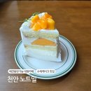 천안동남-F0125 | 천안대형카페 노트밀 | 봉명동 애견동반 가능한 케이크 맛집