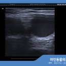 마인동물의료센터 이미지