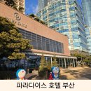 해운대스포츠(실외) | 아이와 부산 해운대 호텔 파라다이스 호텔 본관 스위트룸 패키지 도라에몽과 부대시설