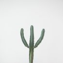 용신60 이미지