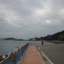 통영아지매 이미지