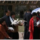 비둘기공원 이미지