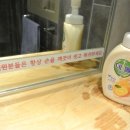 금성 나주곰탕