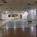 월영동로 이미지