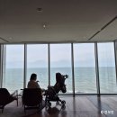 제나's 펫택시 | 아난티 앳 부산 코브 캐빈 객실 아기랑 후기 🌊 포레스트뷰 객실·오션뷰 로비·이터널저니 (부산 호캉스)