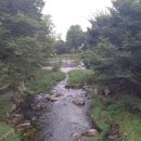 갈계숲화장실 이미지