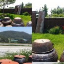 동고민박 이미지