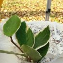 아름마을휴먼시아 2단지 이미지