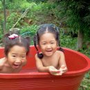 용바위농장 네이버블로그