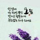사나사(사찰 앞) 티스토리