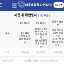 열차빈대떡 | 부산 여행 ㅣ 부산 뚜벅이 당일치기 추천 코스 (해운대 ~ 송정 ~ 깡통시장 완벽 루트)