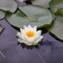설하지