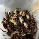 매일행복약국 이미지