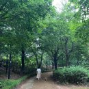 어침이공원 이미지