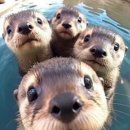 놀멍놀멍 이미지