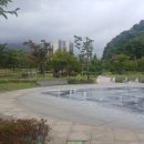 일품뻘낙자 | 일품뻘낙지/낚지볶음, 여기서 먹으면 다른데서 못먹어요~
