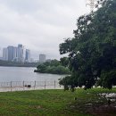 이마트24 한강양화3호점 이미지