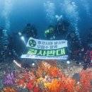 볼레낭개다이브 스쿠버다이빙 뉴시스