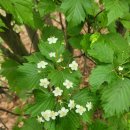 보덕사길 이미지