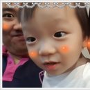 Design_M(디자인엠)