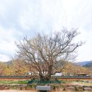 달전시목지 이미지